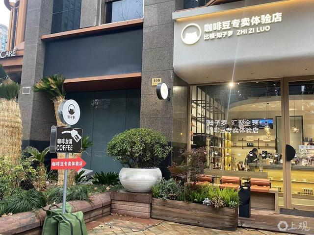 成为开启精品咖啡梦的“魔力豆”九游会j9登录怒江：“小红豆”(图2)